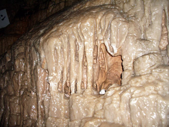 Grotte