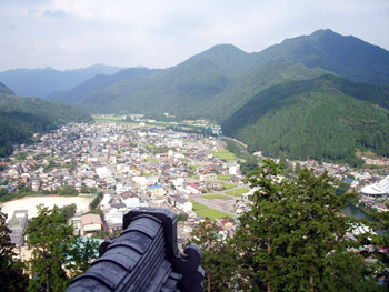 Vue