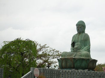 NaritaSan