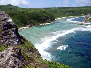 L'ile aux oiseaux