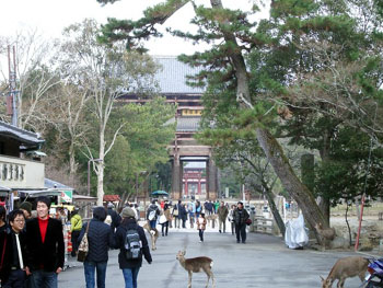 Photos de Toudaiji