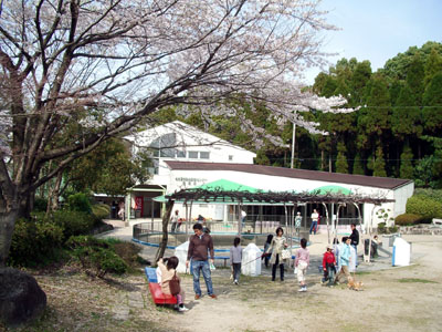Municipal Pets Center