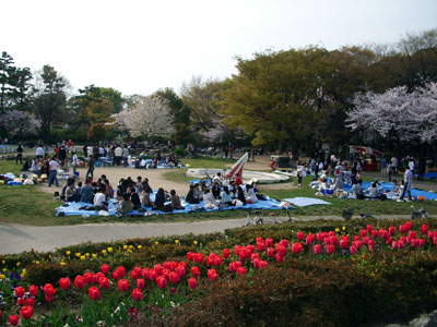 Meijo Park
